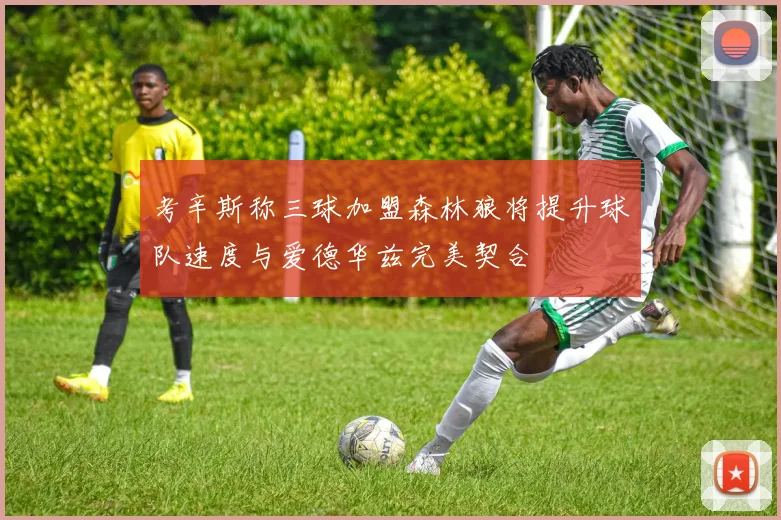 考辛斯称三球加盟森林狼将提升球队速度与爱德华兹完美契合