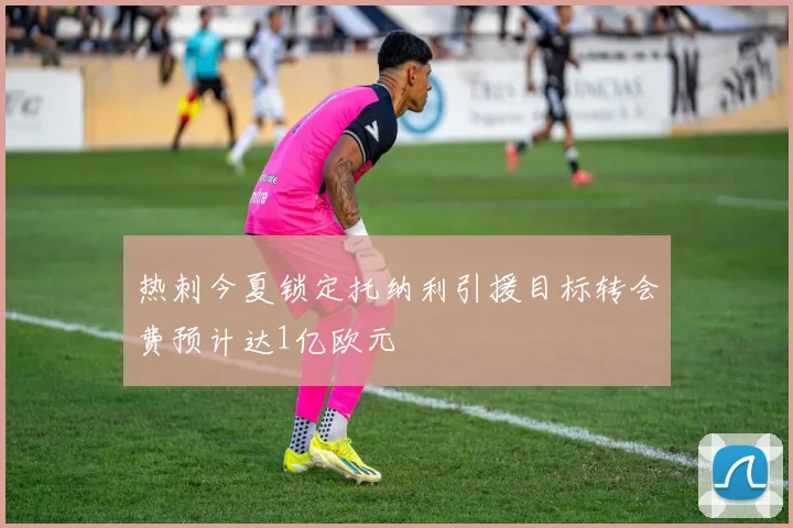 热刺今夏锁定托纳利引援目标转会费预计达1亿欧元