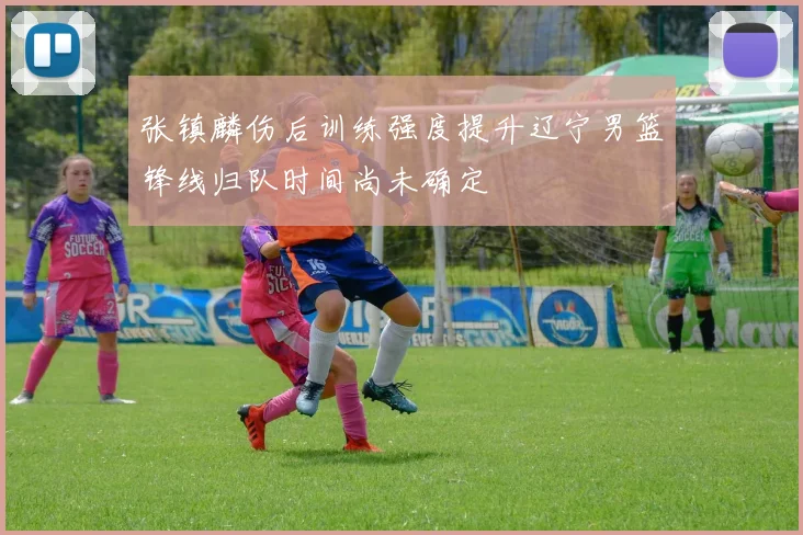 张镇麟伤后训练强度提升辽宁男篮锋线归队时间尚未确定